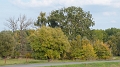 P1140512