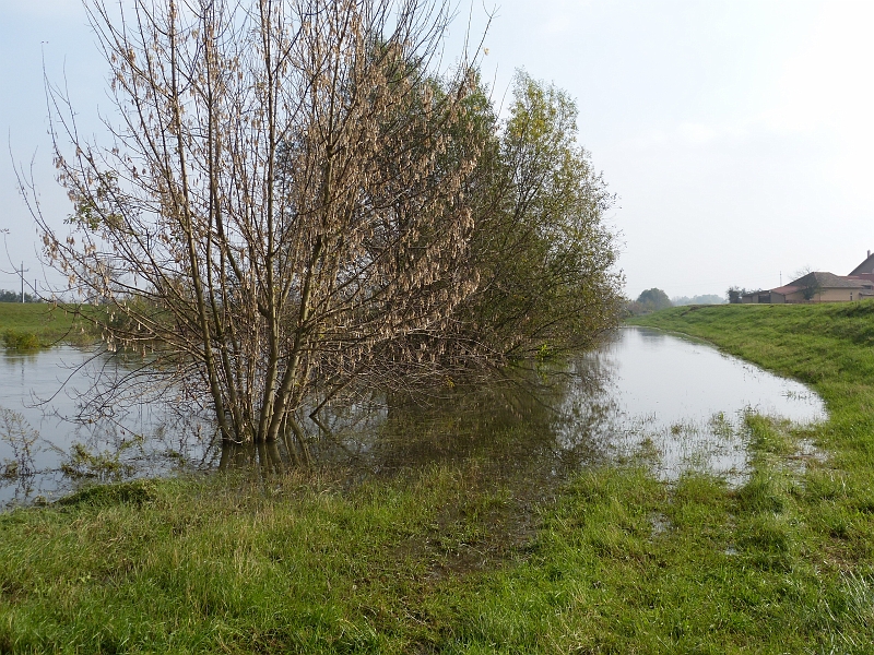 P1220516.JPG