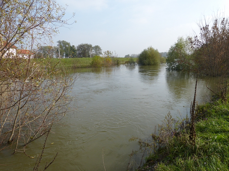 P1220527.JPG