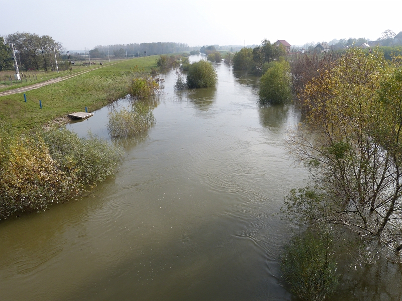 P1220541.JPG