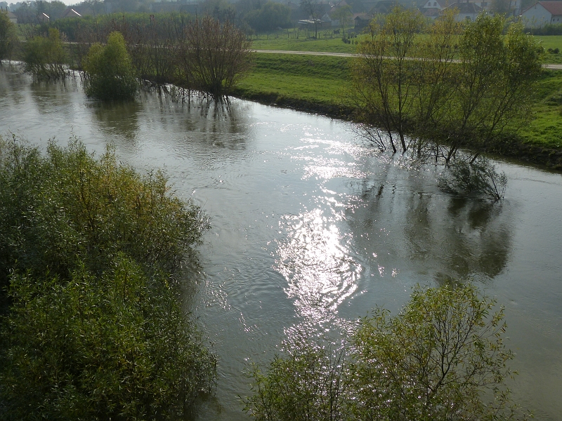 P1220548.JPG
