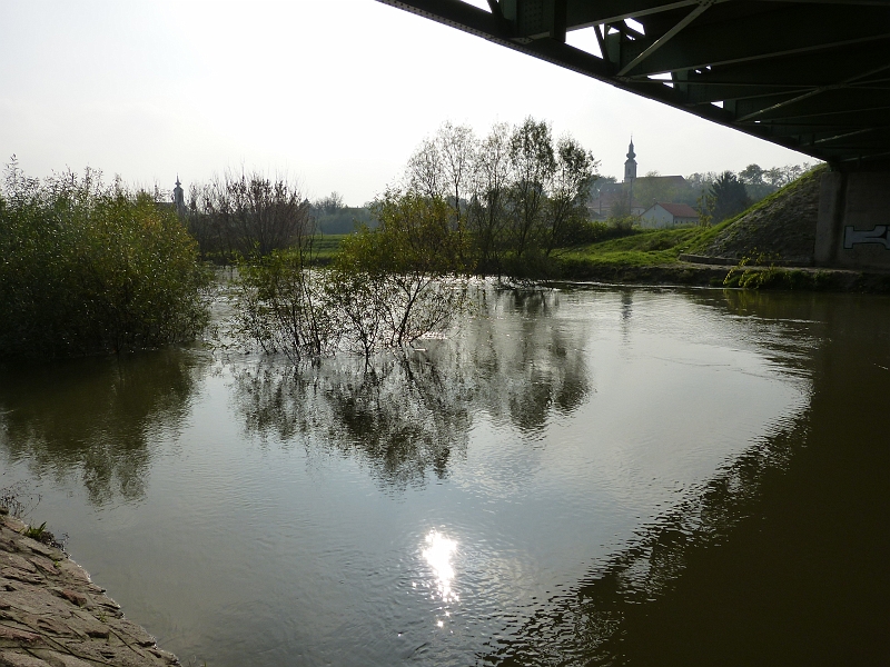 P1220561.JPG