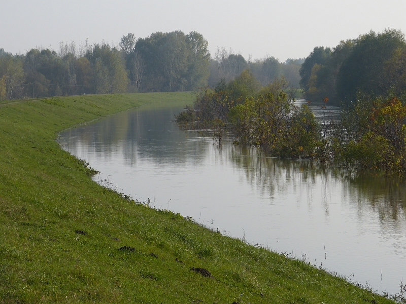 P1220599.JPG