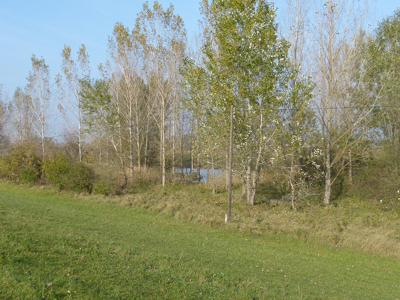 P1220601.JPG