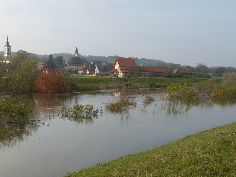P1220619.JPG