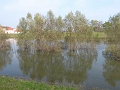 P1220511