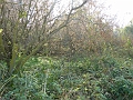 P1220580