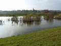 P1220590