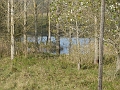 P1220602