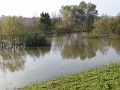 P1220609