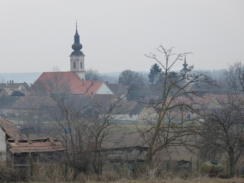 P1230958.JPG