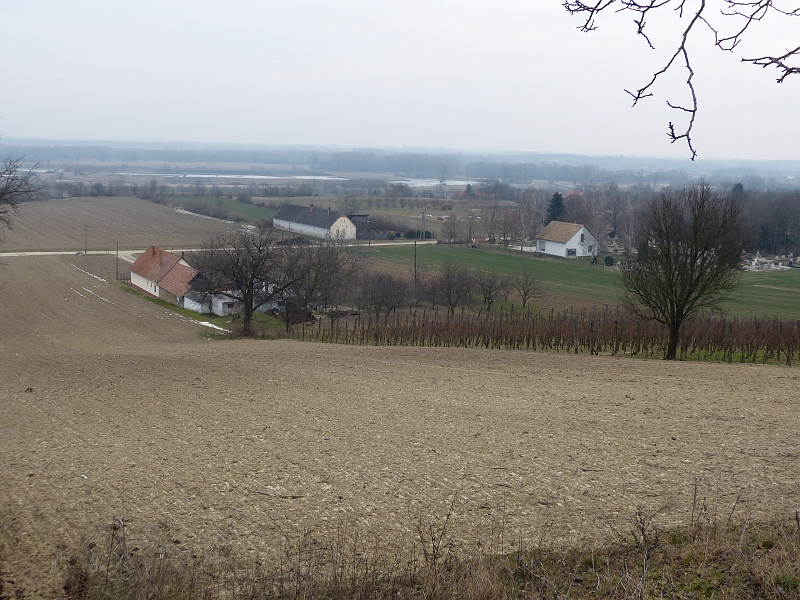 P1230966.JPG