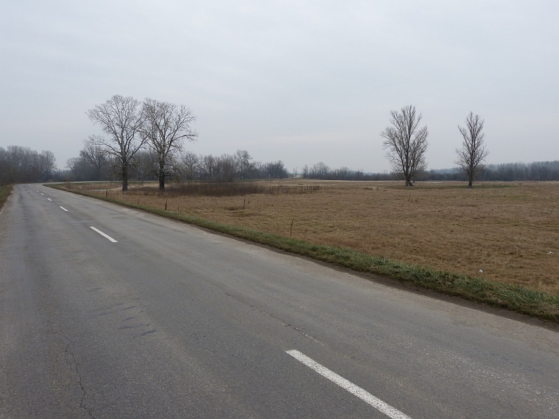 P1240020.JPG