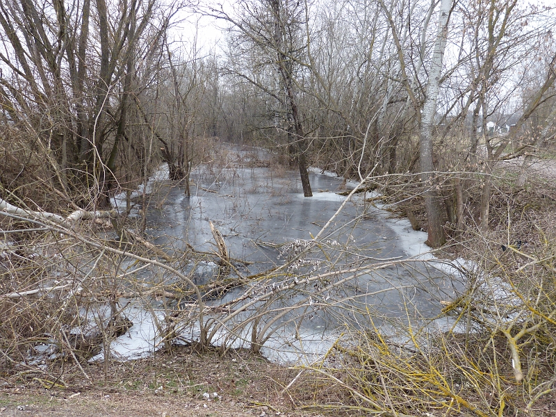P1240038.JPG