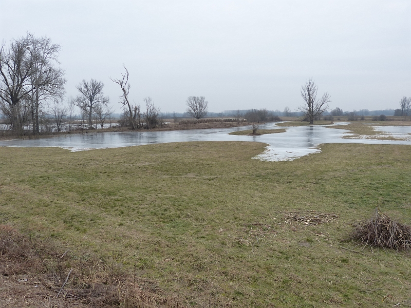 P1240044.JPG