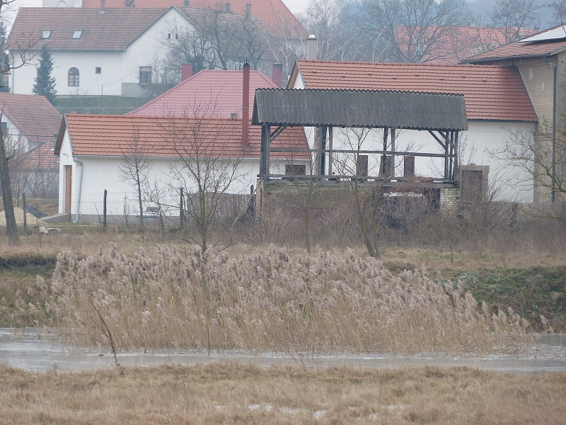 P1240061.JPG