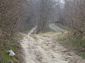 P1230962