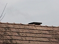 P1230965