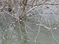 P1230985