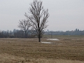 P1240033