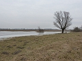 P1240052