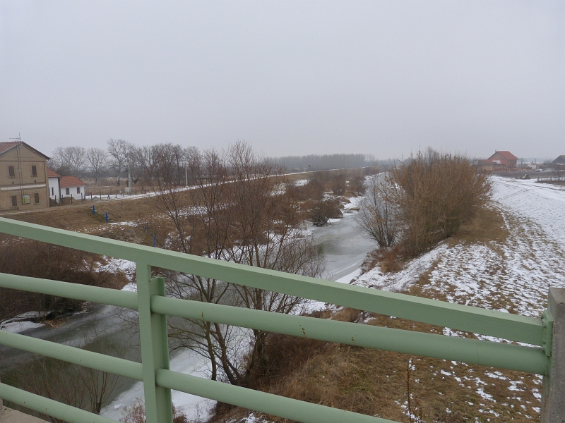 P1350583.JPG