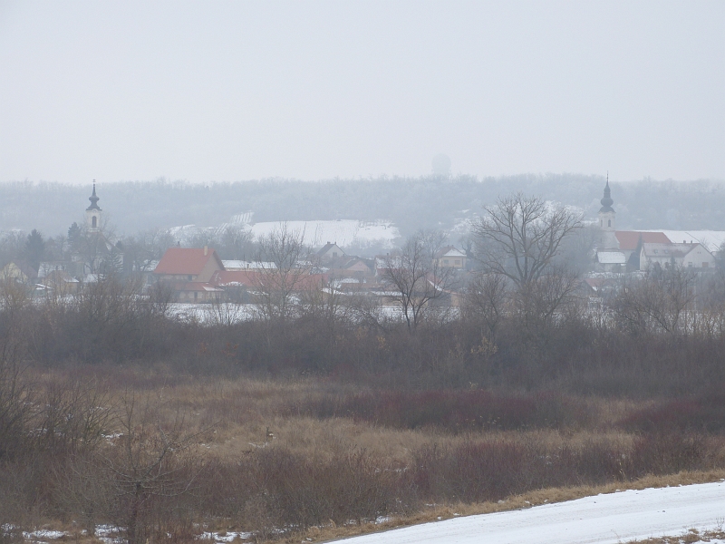 P1350635.JPG