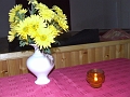 DSCF2461