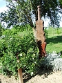 DSCF3775