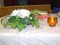 DSCF6237