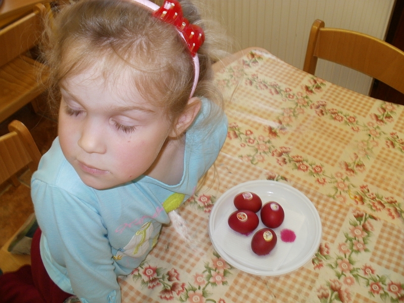 P4040462.JPG