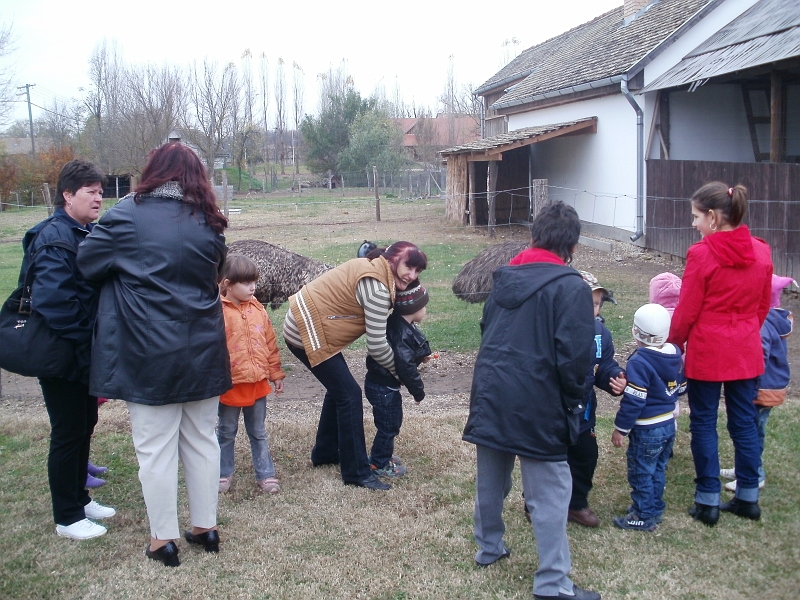 PB141115.JPG