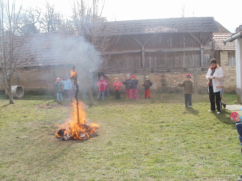 P3081449.JPG