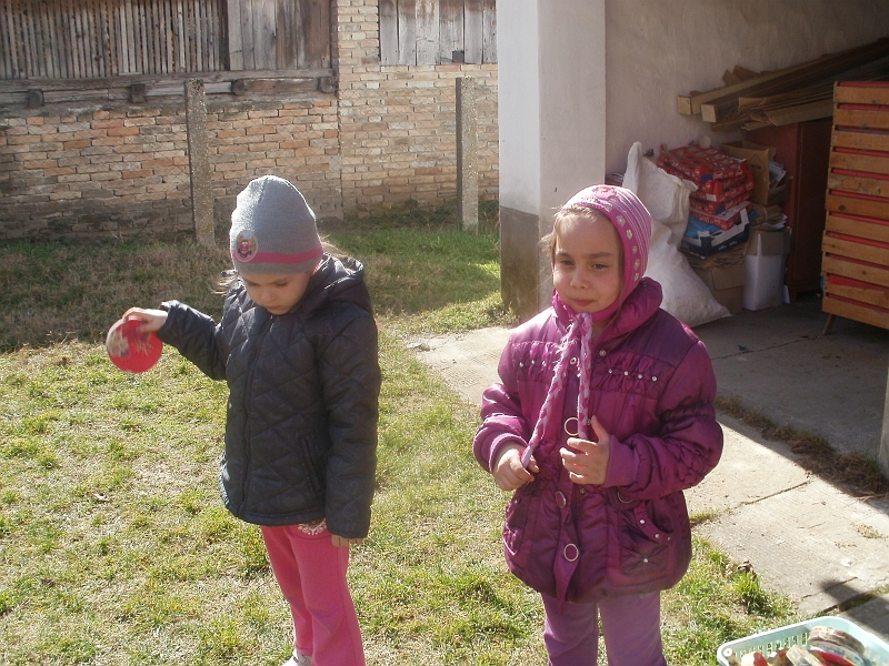 P3081469.JPG