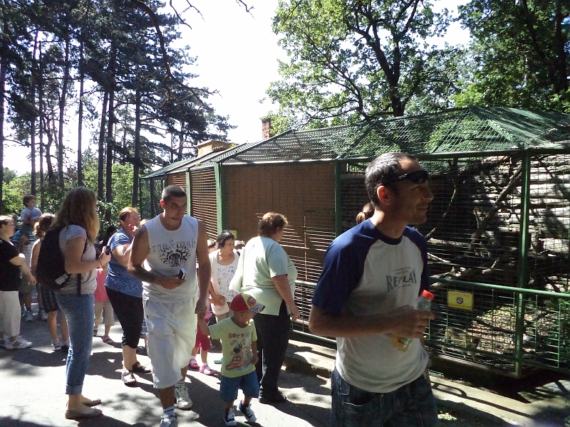 DSC00834.JPG