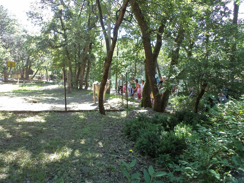 DSC00851.JPG