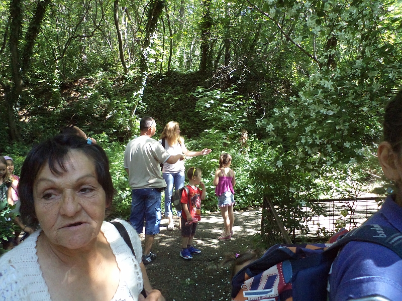 DSC00856.JPG