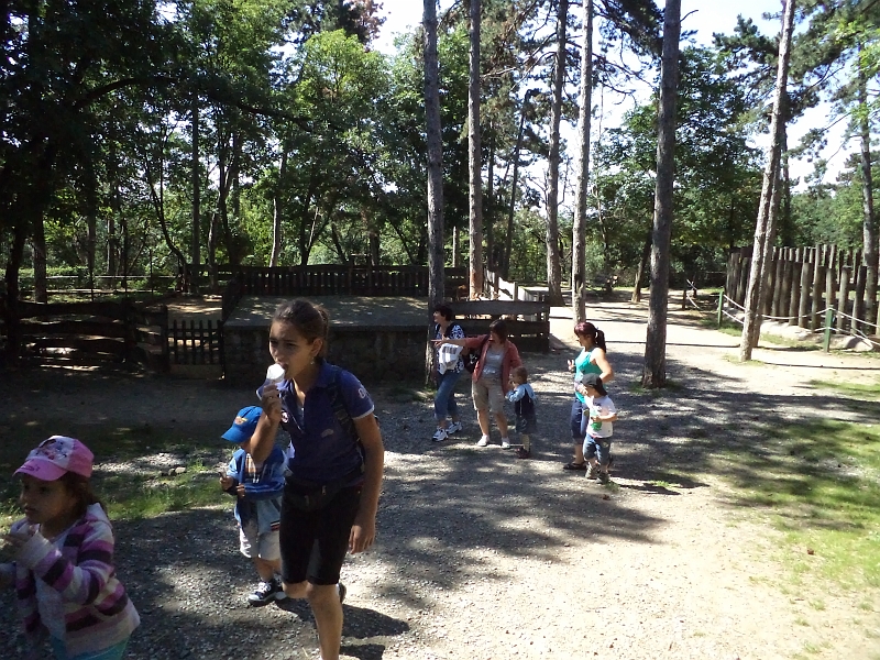 DSC00876.JPG