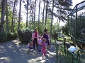 DSC00822