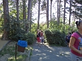 DSC00825