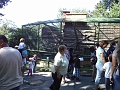 DSC00829