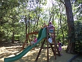 DSC00831