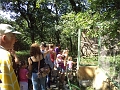 DSC00833