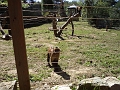 DSC00889