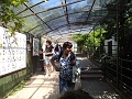 DSC00891