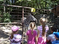 DSC00906