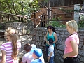 DSC00907