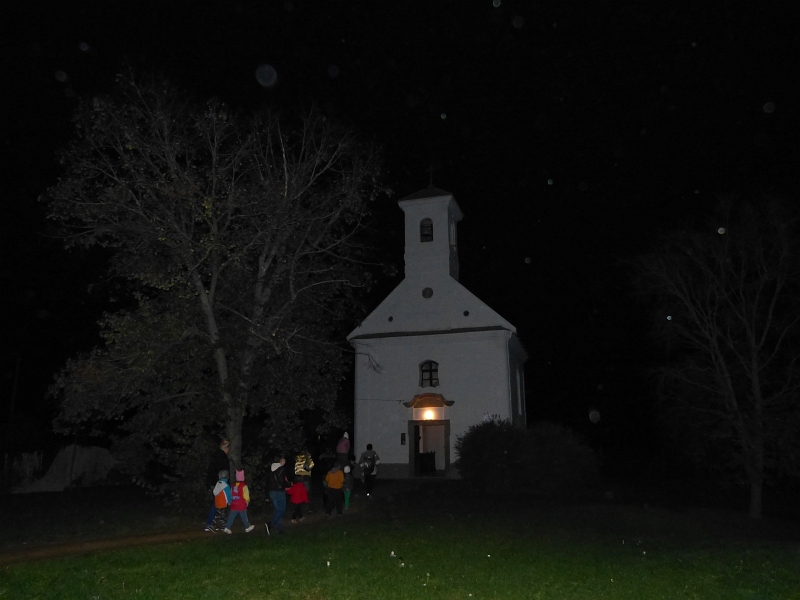 P1150155.JPG