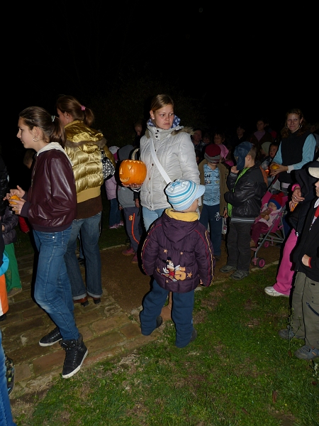 P1150163.JPG