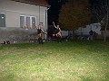 P1220922